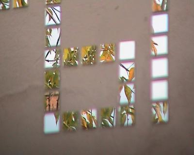 Detail: Mirrors and leaves
