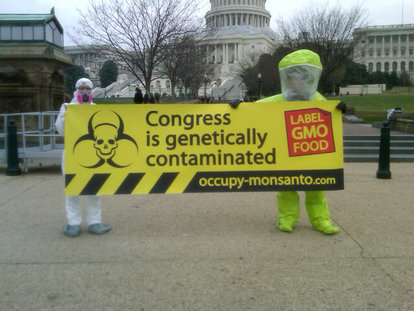 Occupy Monsanto
