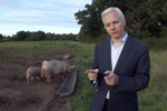 I have a bad case of diarrhea: the (other) Julian Assange Story