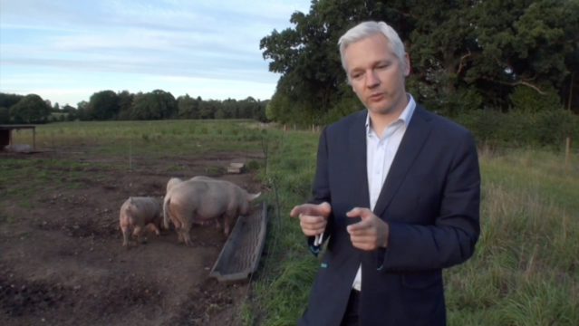 I have a bad case of diarrhea: the (other) Julian Assange Story