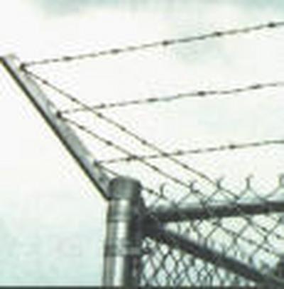 barbwire